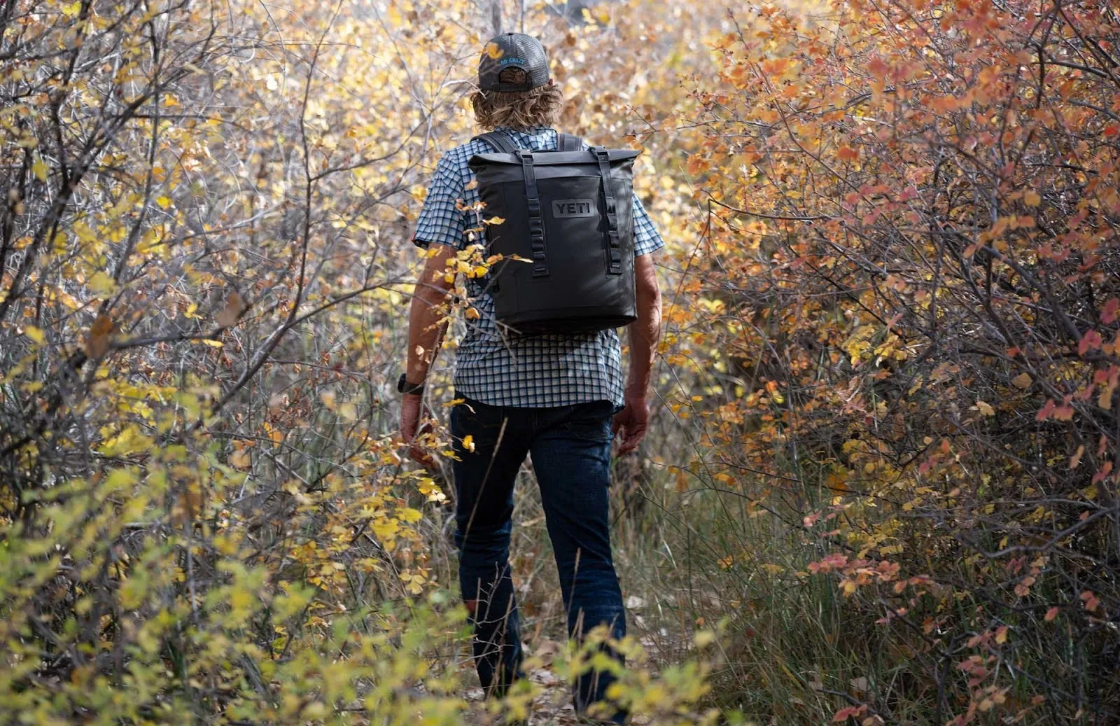 Yeti Cooler New Backpack Style Breaking Every Single Day Sales Record